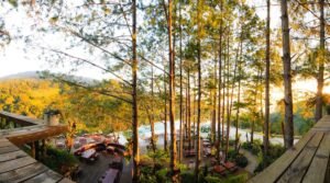 KDL sinh thái cao nguyên hoa Đà Lạt