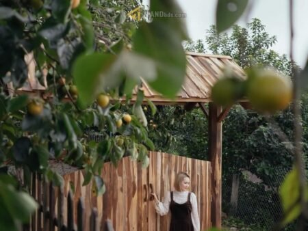 Homestay cực chill hẻm ô tô QL20, Xuân Trường, Đà Lạt, 264m2, Giá 3.9 tỷ