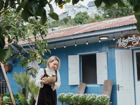 Homestay cực chill hẻm ô tô QL20, Xuân Trường, Đà Lạt, 264m2, Giá 3.9 tỷ