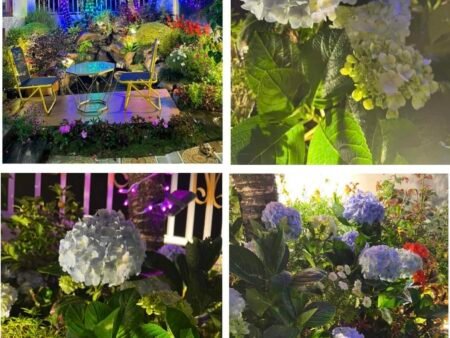 Villa hẻm ô tô lớn Thái Phiên, Phường 12, Đà Lạt, 200m2, Giá 11 tỷ