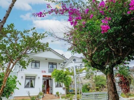 Villa sân vườn Nguyên Tử Lực, P8, Đà Lạt, hẻm ô tô lớn 612m2, Giá 19 tỷ