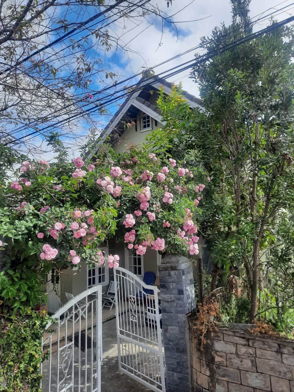 Villa hẻm oto SHR Phạm Hồng Thái, P10, Đà Lạt, 15x14m, Giá 12 tỷ Villa hẻm oto SHR Phạm Hồng Thái, P10, Đà Lạt, 15x14m, Giá 12 tỷ