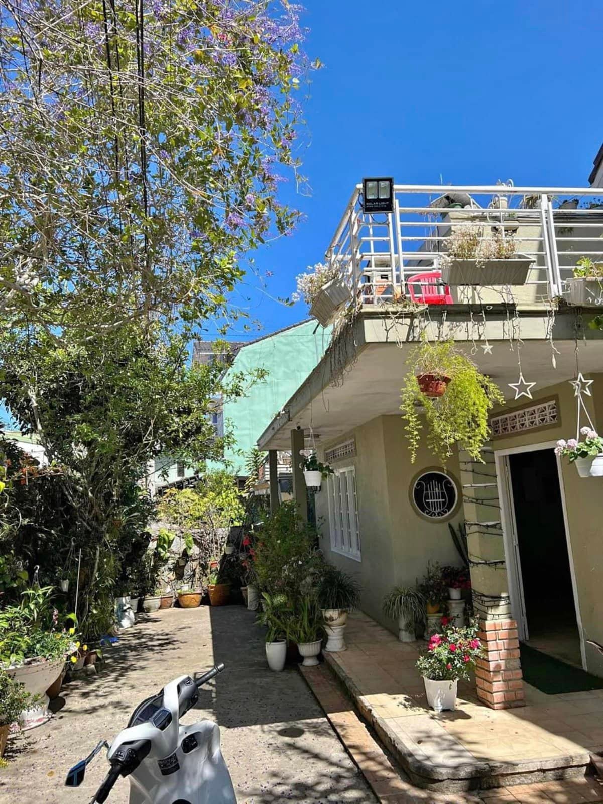 Villa hẻm oto SHR Phạm Hồng Thái, P10, Đà Lạt, 15x14m, Giá 12 tỷ Villa hẻm oto SHR Phạm Hồng Thái, P10, Đà Lạt, 15x14m, Giá 12 tỷ