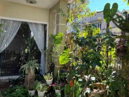 Villa hẻm oto SHR Phạm Hồng Thái, P10, Đà Lạt, 15x14m, Giá 12 tỷ