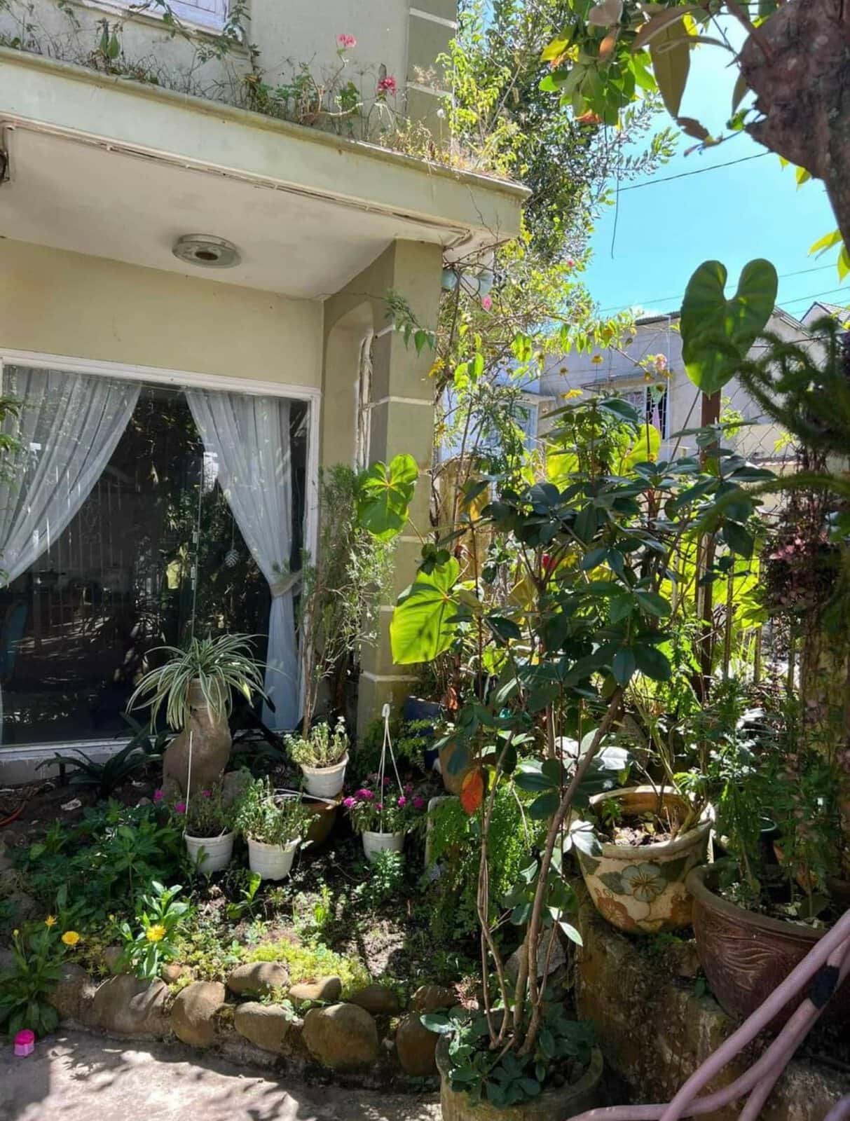 Villa hẻm oto SHR Phạm Hồng Thái, P10, Đà Lạt, 15x14m, Giá 12 tỷ Villa hẻm oto SHR Phạm Hồng Thái, P10, Đà Lạt, 15x14m, Giá 12 tỷ