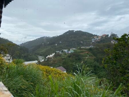 Nhà C4 hẻm oto SHR Hoàng Hoa Thám, Phường 10, 73.53m2, Giá 4.7 tỷ