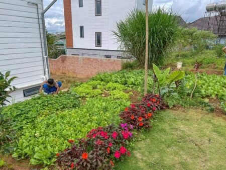 Villa sân vườn Trịnh Hoài Đức, P11, Đà Lạt, DT 200m2, Giá 14.5 tỷ