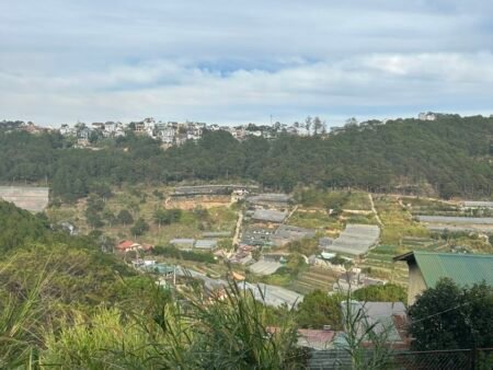 Nhà C4 KQH Trần Quang Diệu 140m2 view thông, SRXD, Giá 4.8 tỷ TL