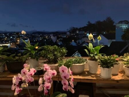 Nhà 3 tầng MT Lê Thánh Tôn, Phường 5, Đà Lạt, 75m2, Giá 12.5 tỷ