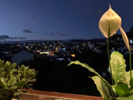 Nhà 3 tầng MT Lê Thánh Tôn, Phường 5, Đà Lạt, 75m2, Giá 12.5 tỷ