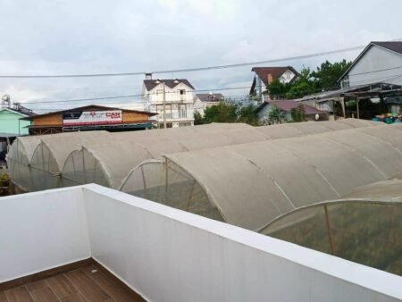 Villa 3 tầng Trần Đại Nghĩa, Phường 8, Đà Lạt, 200m2, Giá 12 tỷ