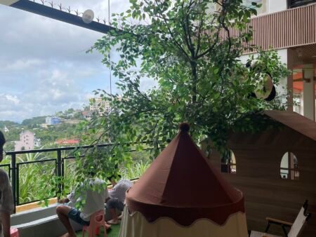 Nhà + KD Hoàng Hoa Thám, P10, Đà Lạt, 340m2, DT 300tr/tháng, Giá 19 tỷ