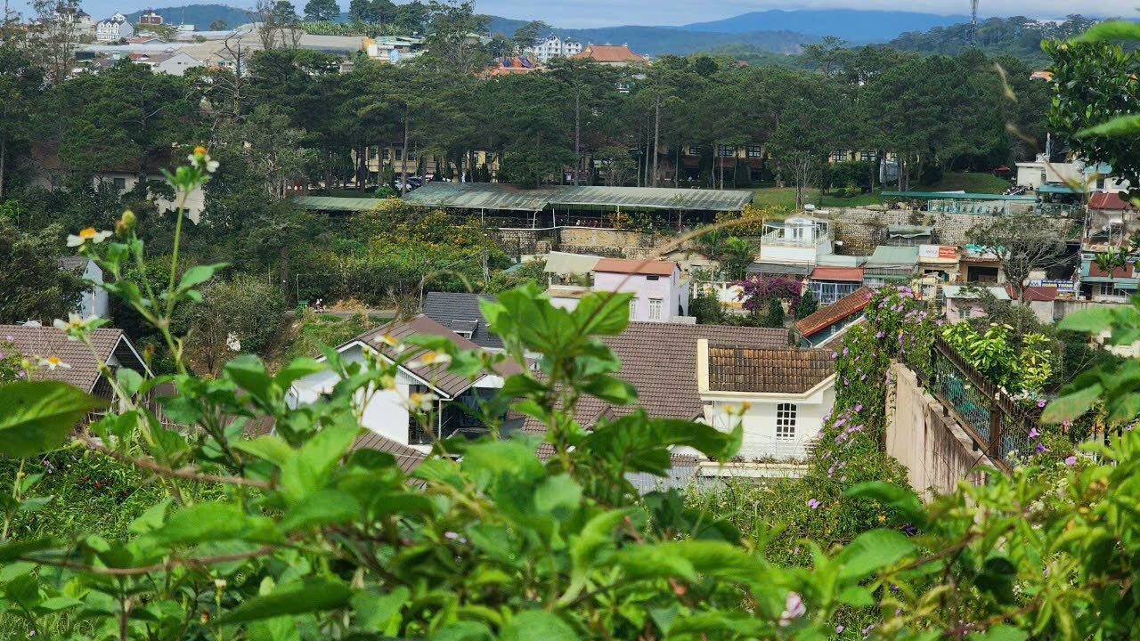 Villa MT Lý Nam Đế, Phường 8, Đà Lạt, 312m2, Giá 21 tỷ Villa MT Lý Nam Đế, Phường 8, Đà Lạt, 312m2, Giá 21 tỷ