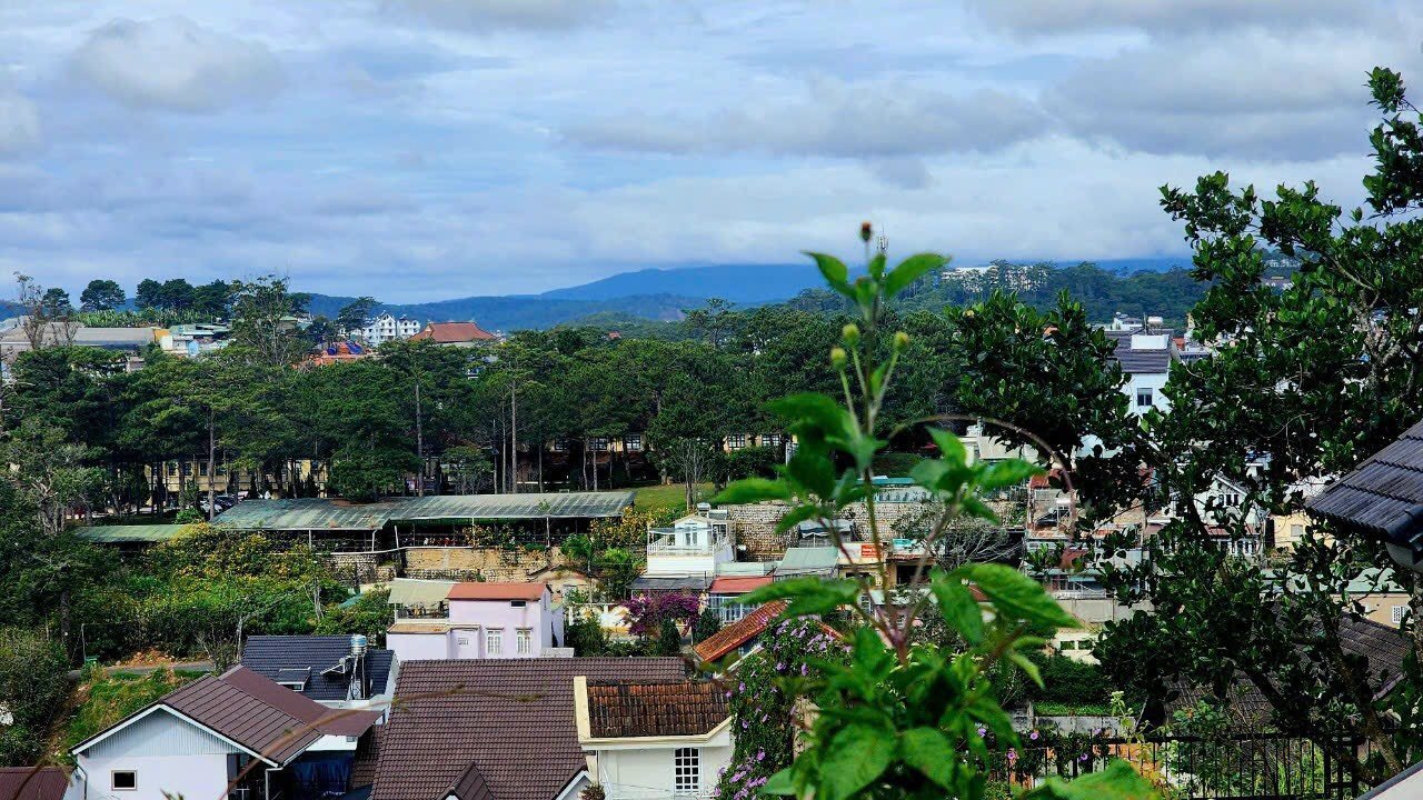 Villa MT Lý Nam Đế, Phường 8, Đà Lạt, 312m2, Giá 21 tỷ Villa MT Lý Nam Đế, Phường 8, Đà Lạt, 312m2, Giá 21 tỷ