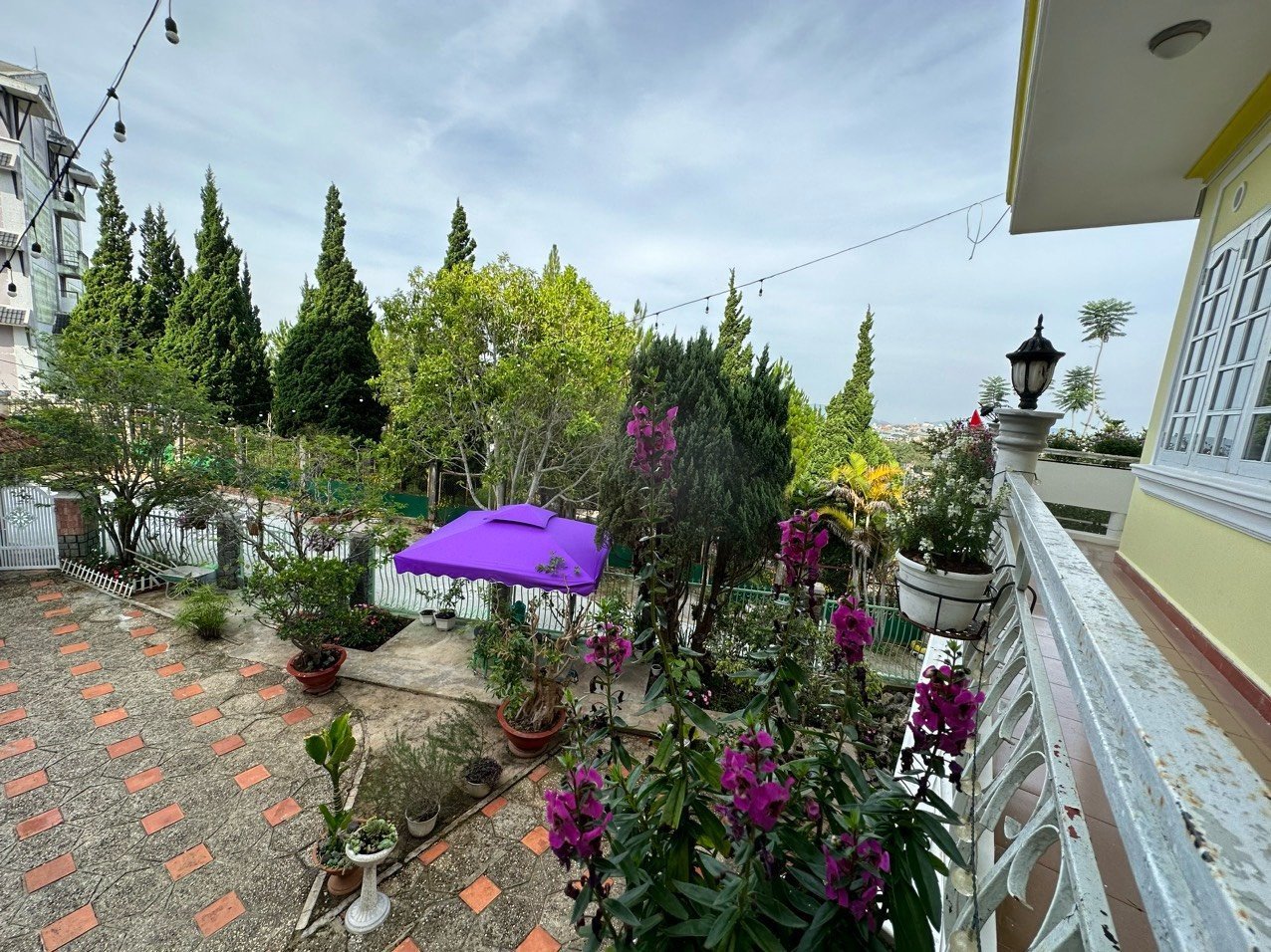 Villa MT KQH Lý Nam Đế, P8, Đà Lạt, 33x12.5m, Giá 27 tỷ Villa MT KQH Lý Nam Đế, P8, Đà Lạt, 33x12.5m, Giá 27 tỷ