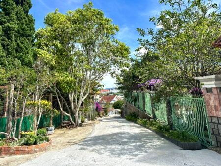 Villa MT KQH Lý Nam Đế, P8, Đà Lạt, 33x12.5m, Giá 27 tỷ