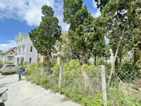 Villa trung tâm 4 tầng oto lớn, Trần Đại Nghĩa, P8, 200m2, Giá 11.999 tỷ