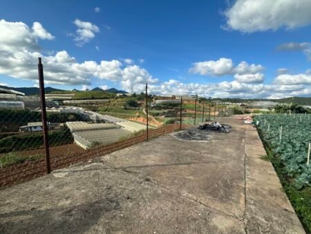 Nhà C4 giấy tay Phường 7, Đà Lạt, 5x20m, Giá 1.7 tỷ