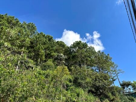 Bán nhà đất phường 5 Đà Lạt