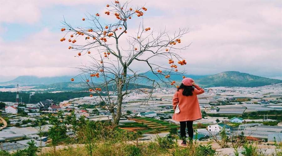 Làng Vũ Thị Đà Lạt