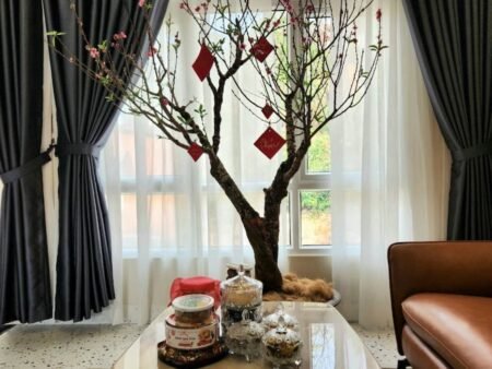 Nhà Phố 5 Tầng Hẻm Ô Tô Nhỏ Phù Đổng Thiên Vương, P8, Đà Lạt