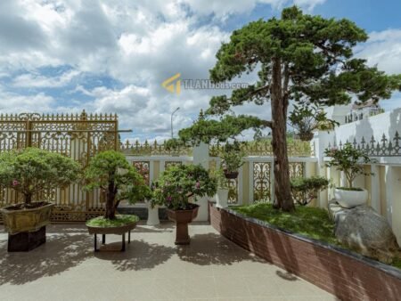 Villa sân vườn MT KQH An Sơn, P4, 14x24m, Giá 37 tỷ