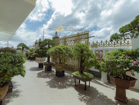 Villa sân vườn MT KQH An Sơn, P4, 14x24m, Giá 37 tỷ