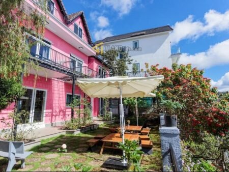 Homestay Hẻm Ô Tô Lớn, Sổ Riêng Hoàng Hoa Thám, P10, 834m2