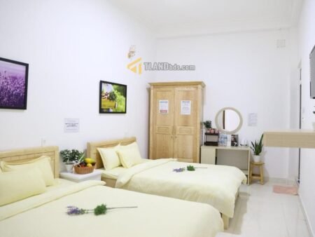 Khách sạn/CHDV Hẻm oto Mai Hắc Đế, P6, 300m2, Giá 18.5 tỷ