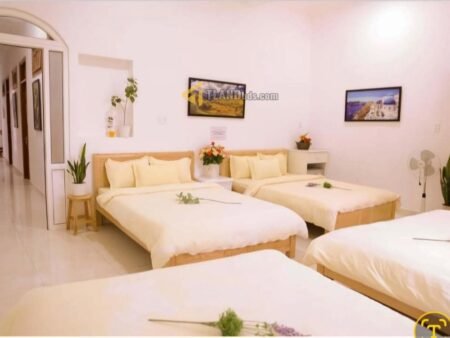 Khách sạn/CHDV Hẻm oto Mai Hắc Đế, P6, 300m2, Giá 18.5 tỷ