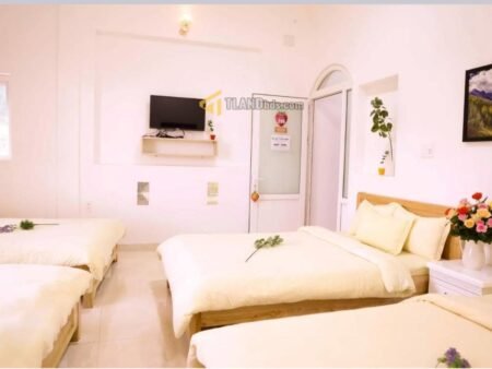 Khách sạn/CHDV Hẻm oto Mai Hắc Đế, P6, 300m2, Giá 18.5 tỷ