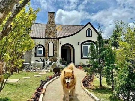 Villa hẻm oto Trần Đại Nghĩa, P8, Đà Lạt, 10x26m, Giá 11.5 tỷ