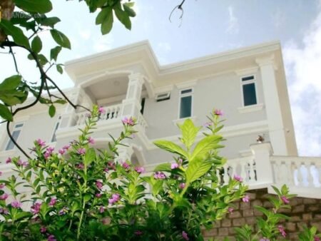 Villa 3 Tầng Hai Mặt Tiền Sổ Riêng An Bình, Phường 3, Đà Lạt, 20 Phòng