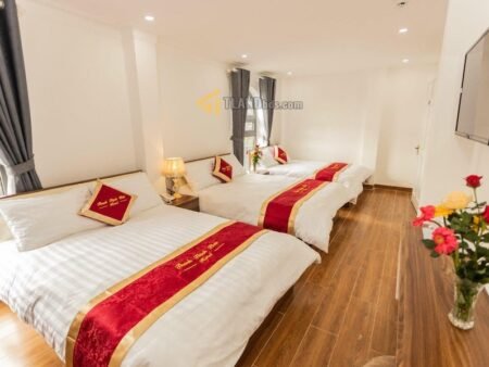 Khách sạn 6 Tầng Mặt Tiền Tô Hiến Thành, P3, 369m2, 22 Phòng