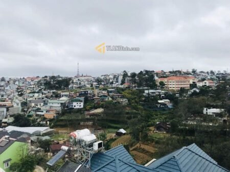 Khách sạn 6 Tầng Mặt Tiền Tô Hiến Thành, P3, 369m2, 22 Phòng