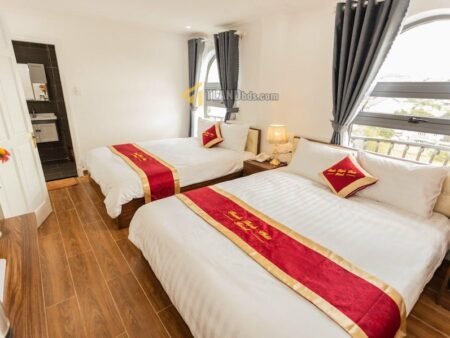 Khách sạn 6 Tầng Mặt Tiền Tô Hiến Thành, P3, 369m2, 22 Phòng