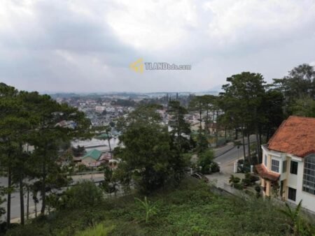 Đất Mặt Tiền Hùng Vương, P10, 4121 m² full thổ , mặt tiền rộng 299 m