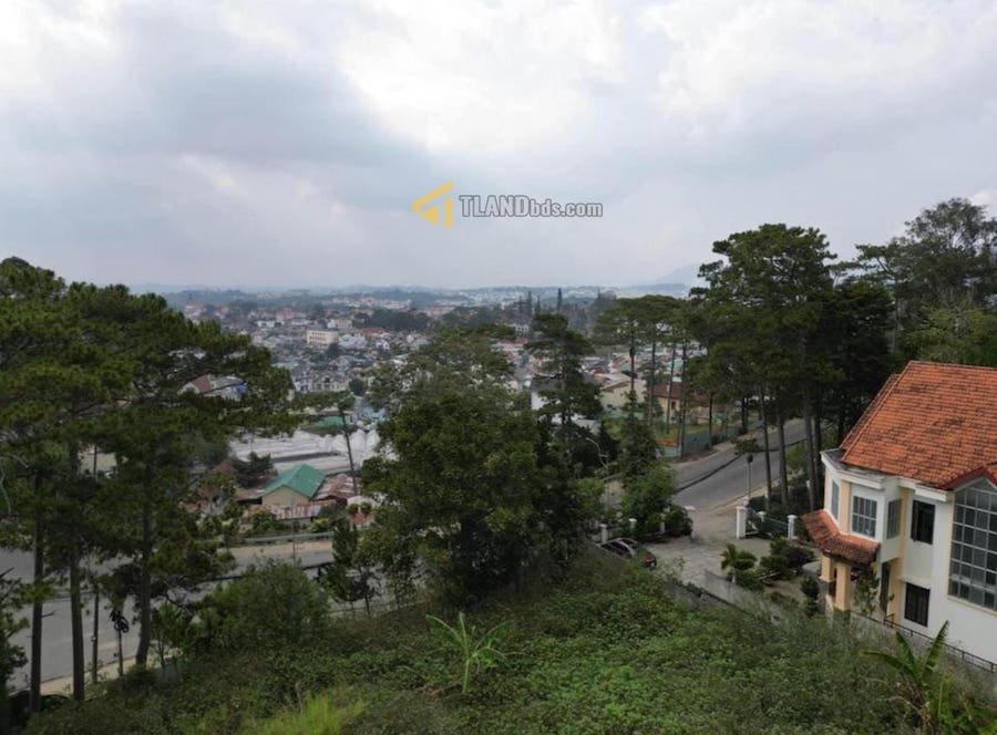 Đất Mặt Tiền Hùng Vương, P10, 4121 m² full thổ , mặt tiền rộng 299 m Đất Mặt Tiền Hùng Vương, P10, 4121 m² full thổ , mặt tiền rộng 299 m