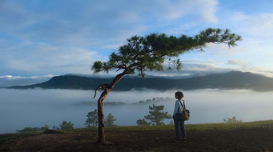 Săn Mây Đồi Thiên Phúc Đức