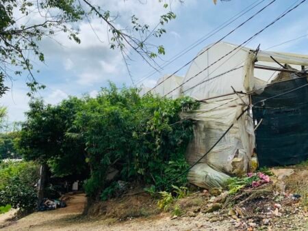 Bán 800m2 nông nghiệp MT Tỉnh lộ 723, P11, Đà Lạt