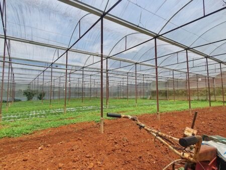 Bán 2.1ha Đất Nông Nghiệp hẻm oto Mimosa, P10, Đà Lạt