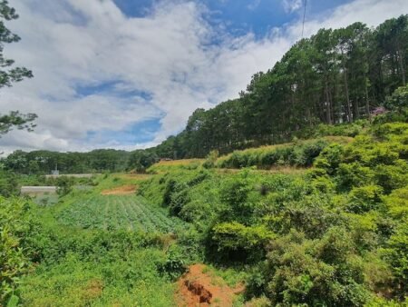 Bán 2.1ha Đất Nông Nghiệp hẻm oto Mimosa, P10, Đà Lạt