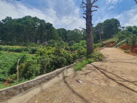 Bán 2.1ha Đất Nông Nghiệp hẻm oto Mimosa, P10, Đà Lạt