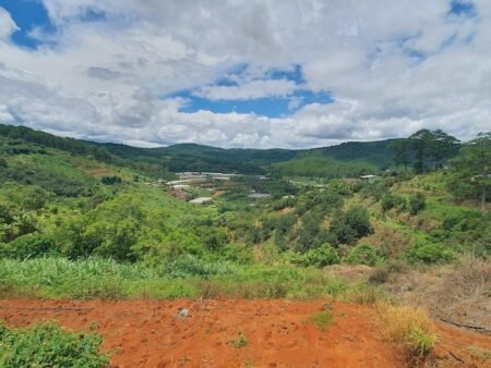 Bán 2.1ha Đất Nông Nghiệp hẻm oto Mimosa, P10, Đà Lạt