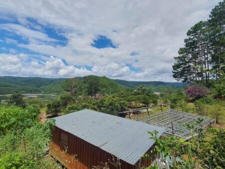 Bán 2.1ha Đất Nông Nghiệp hẻm oto Mimosa, P10, Đà Lạt