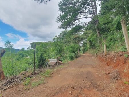 Bán 2.1ha Đất Nông Nghiệp hẻm oto Mimosa, P10, Đà Lạt