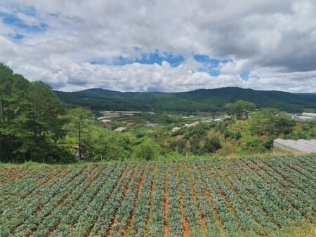 Bán 2.1ha Đất Nông Nghiệp hẻm oto Mimosa, P10, Đà Lạt