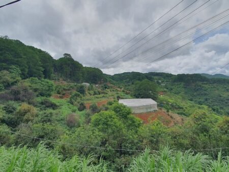 Bán 2.1ha Đất Nông Nghiệp hẻm oto Mimosa, P10, Đà Lạt