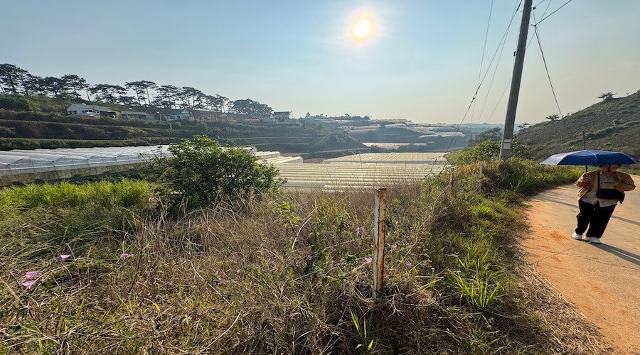 Bán 817m2 Đất nông nghiệp Đa Lộc, Xuân Thọ, Đà Lạt Bán 817m2 Đất nông nghiệp Đa Lộc, Xuân Thọ, Đà Lạt