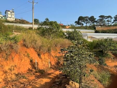 Bán 817m2 Đất nông nghiệp Đa Lộc, Xuân Thọ, Đà Lạt